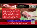 See What Can Happen To A Person If They Are Bitten By Stray Dogs In This Report By BRN News See What Can Happen To A Person If They Are Bitten By Stray Dogs In This Report By BRN News
