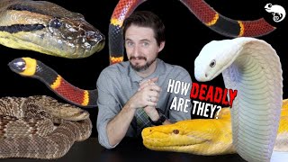 5 Deadly Pet Snakes (+10 Non-Deadly Alternatives)