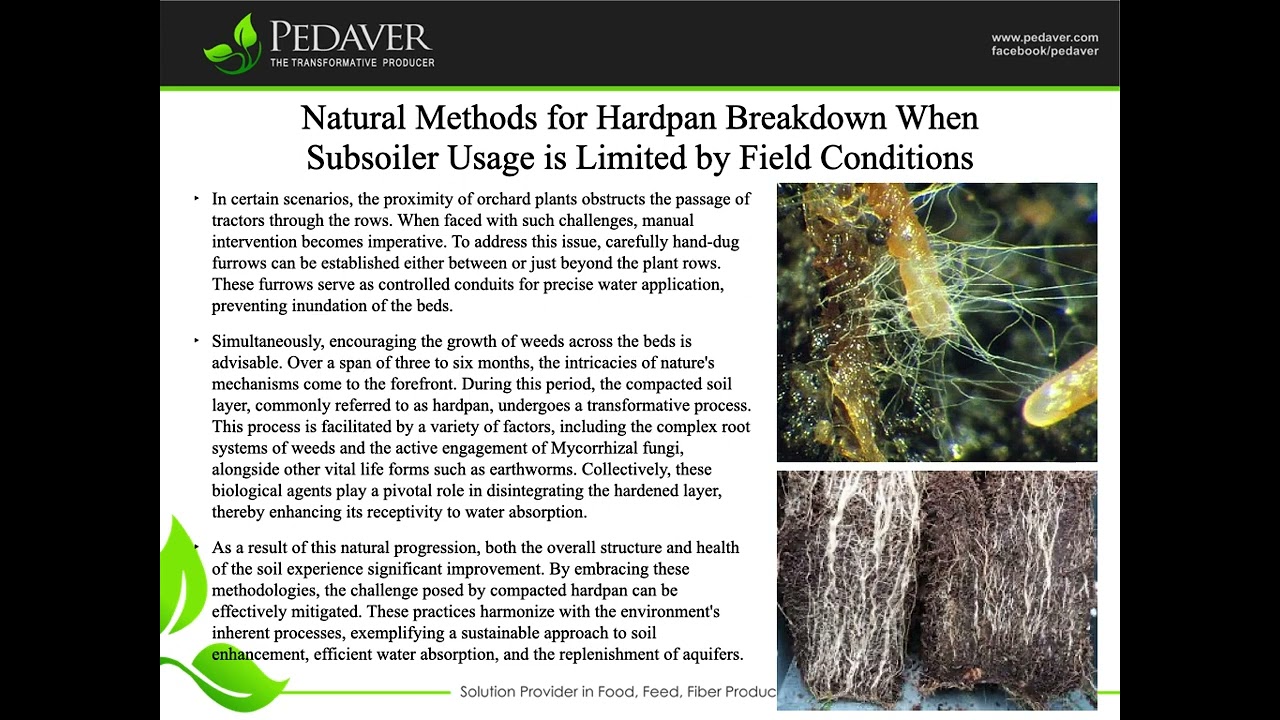Natural Methods for Hardpan Breakdown When Subsoiler Usage is Limited by Field Conditions