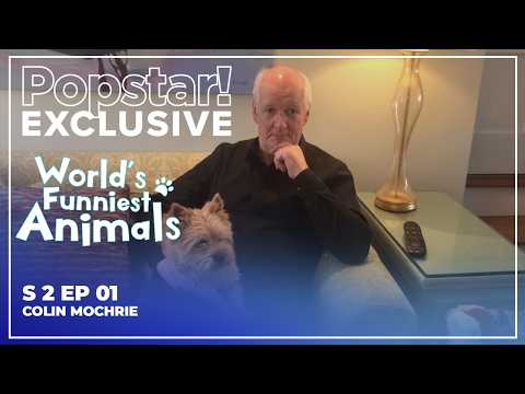 World's Funniest Animals | S2E01 | Colin Mochrie
