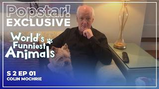 World's Funniest Animals | S2E01 | Colin Mochrie
