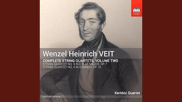 String Quartet No. 3 in E-Flat Major, Op. 7: I. Allegro moderato e patetico