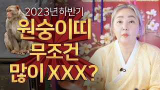 ✨2023년 삼재띠 원숭이띠 하반기운세✨무조건 마음으로 많이 빌어야하는 하반기 원숭이띠 계묘년 운세 / 화신…