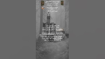 سورة الزمر 28/21 itali/arabo#قران_كريم #quran
