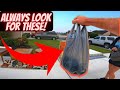 If you find these always buy them at yard sales!!!