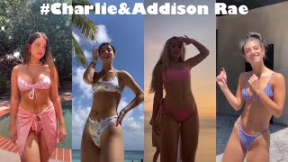 Charlie D’amelio and Addison Rae tiktok dances in bikini 👙