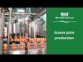 Vinut  guava juice production process