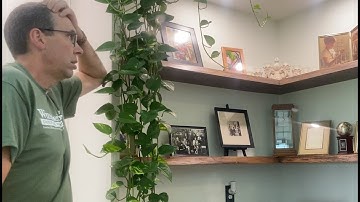 How to Install Floating Live Edge Shelves Wall to Wall in a Corner- This One Took Some Brain Power!