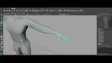 Tutorial on Modeling a 3D Human Character in Maya ( Part 3)