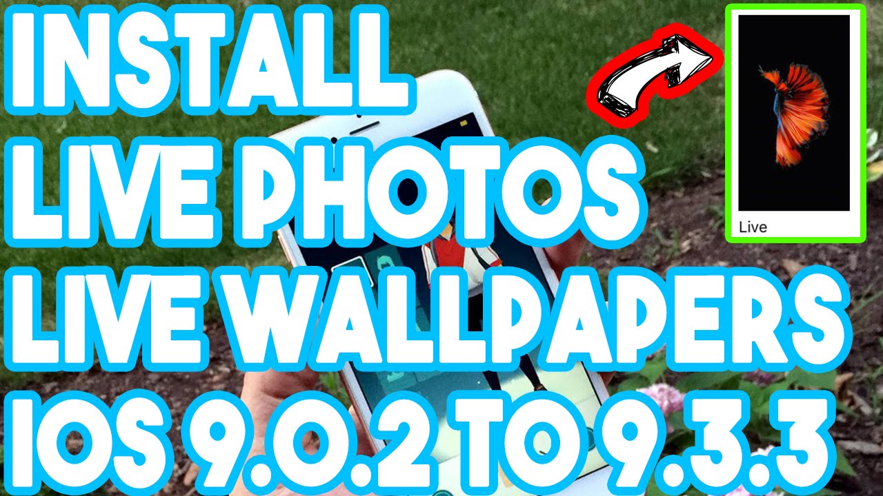 New Install Live Photos And Live Wallpapers On Jailbroken iPhone 6/6