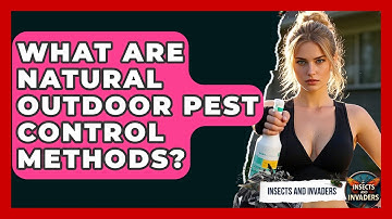What Are Natural Outdoor Pest Control Methods? - Insects and Invaders