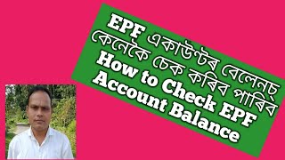 How to Check EPF Account Balance screenshot 2