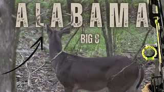 Wide 8 Point BUCK, SELF FILMED Bow Hunting || EP 1