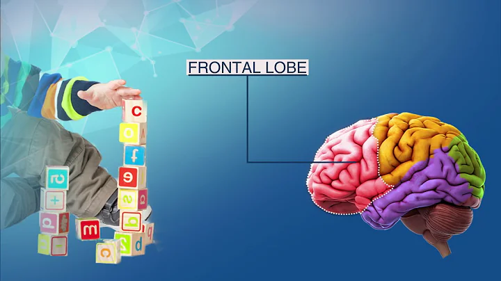 Role of DHA, ARA and phospholipids in cognitive development of infants - DayDayNews