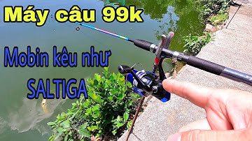 Đem máy câu cá 99k ✅ Đại náo hồ câu cá tra 30k Sài Gòn | DUY FISHING