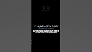 سورة الأنفال:الآية[٥-٦] #القرآن_الكريم #الفرقان #سورة_الأنفال #ياسر_الدوسري #القران_الكريم #قران