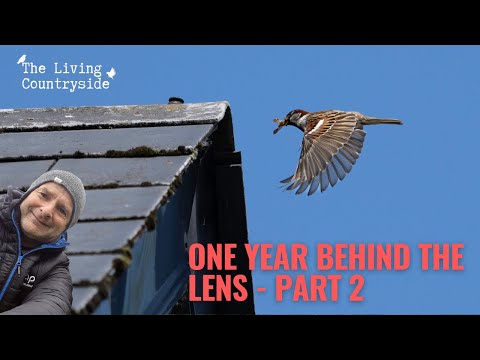 Part 2 Of A Look Back At My First Year Behind The Lens Shooting My Natural Environment 