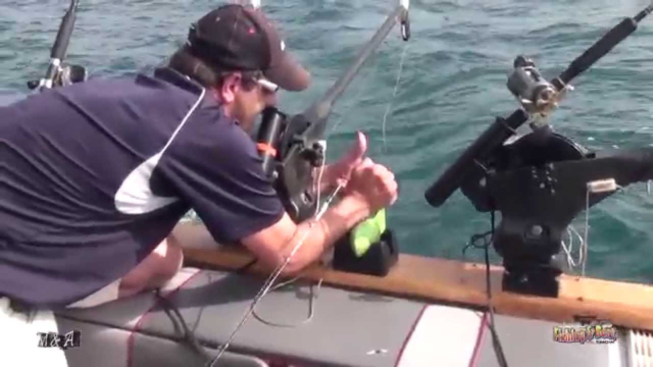 FISHING Salmon - YouTube