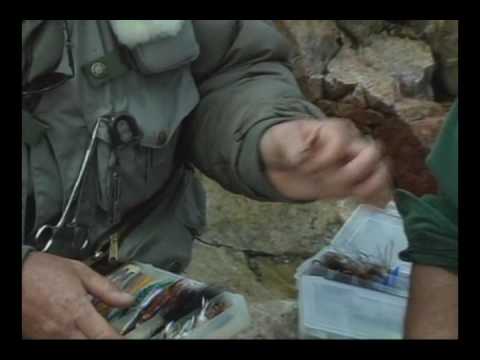 Fly fishing tips video for fly fishing trips with ...