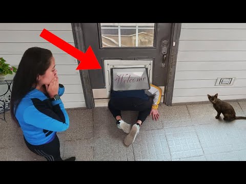 10 Of The Dumbest Ways People Actually Died [Part 4]