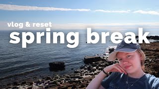 reset with me after spring break | college vlog