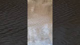 Стоячие волны на реке Омь
