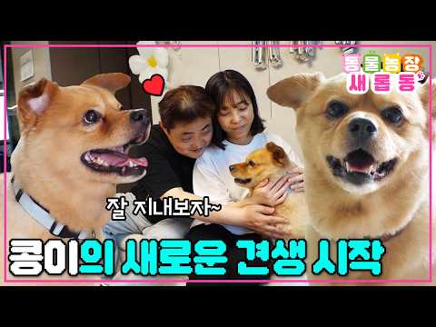 🍀이제 새로운 가족들과 <strong>행복하자</strong>♥️ / EP.1273 #TV동물농장 #AnimalFarm #SBSstory