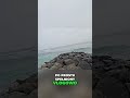 Palawan, Indonezja: Moja Ostateczna Podróżnicza Przygoda! #shorts