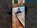 Mnyama Tembo Music MTM 