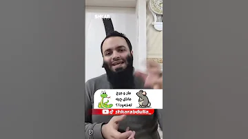 مار و جرج مانای چیە لەخەودا 