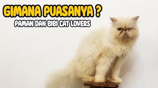 SEMOGA PUASANYA LANCAR YA PAMAN DAN BIBI CAT LOVERS by Kucing himalayaku official 50 views 2 months ago 1 minute, 1 second