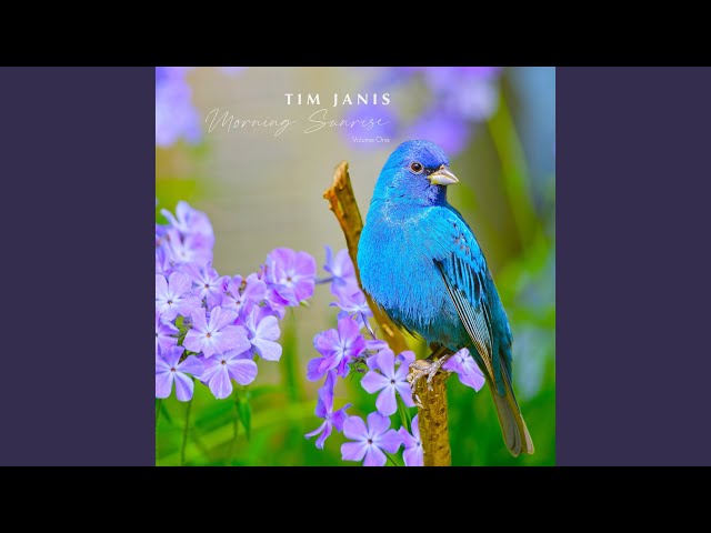Tim Janis - Be Thou My Vision