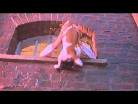 The Mask (1994) - The Mask Dog Scene