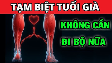 Đánh thức trái tim thứ 2 - Chỉ 1 bài tập và bạn không cần đi bộ nữa | Lộc Sức Khoẻ
