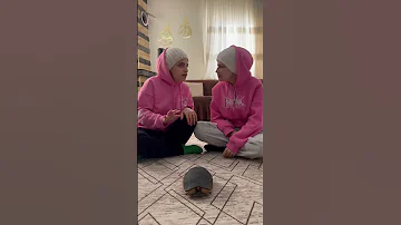 سلحفاة سكرانة نانو وام سيف 
