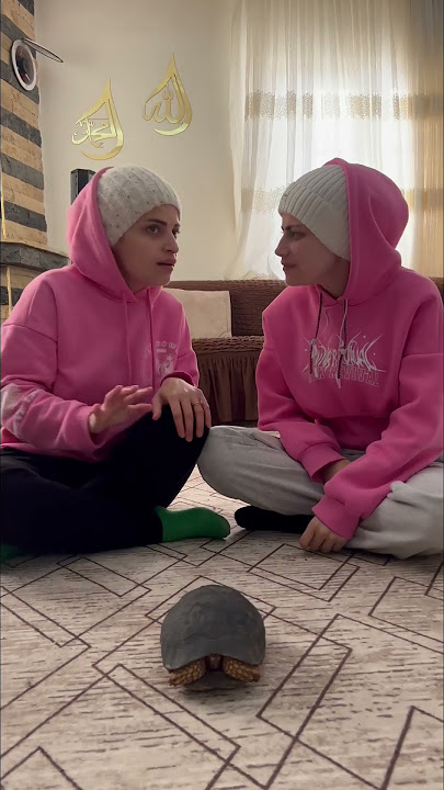 سلحفاة سكرانة 😂😂 نانو وام سيف