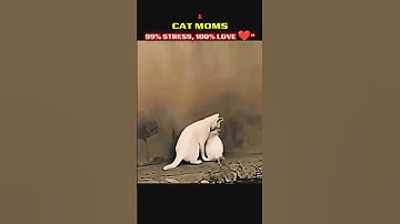 “Cat mom taking care of her kittens like a pro 😻❤️ #CatVideo #CuteAnimals #CatMom #ViralShorts #cat