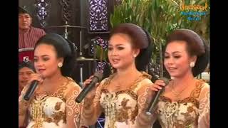 Download lagu Nglaras Roso Sareng Langgam Campursari Sanggabuana