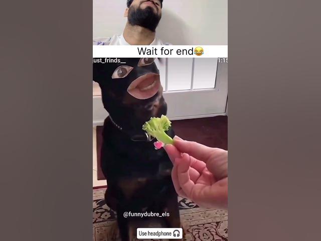 Wait for end 😂🤣#india #trending #tiktok #shortsfeed #funny #comedy #ytshorts #.