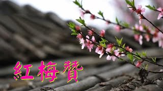 YPT35《紅梅贊》心靈音樂｜休閒音樂｜佛教音樂｜禪修音樂｜太極拳背景音樂＞無痕加長珍藏版