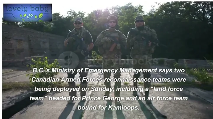 Military support arriving in B.C. to fight close to 380 wildfires across province