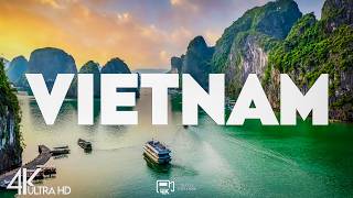 Top 10 Best Things to Do in Vietnam [Vietnam Travel Guide 2026 ]