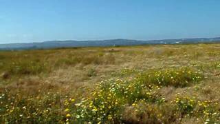 DSCF4465.AVI