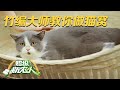 养猫人士必看！非遗传承人传授最简单、最实用的猫窝制作方法！猫咪宝贝睡上去，就不想离开了！|「超级农人秀」20231030