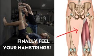 Learn How To Actually FEEL Your Hamstrings with the 9090 Hamstring Bridge