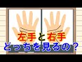 【手相の疑問】「右手と左手はどっちを見るの？」左右の手の違いについて解説します！
