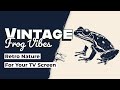 Vintage Frog Vibes, Retro Frog Art for Screens,  Frame TV, or CanvasTV #digitalart #digitaldownload