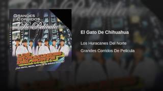 Los Huracanes Del Norte - El Gato De Chihuahua