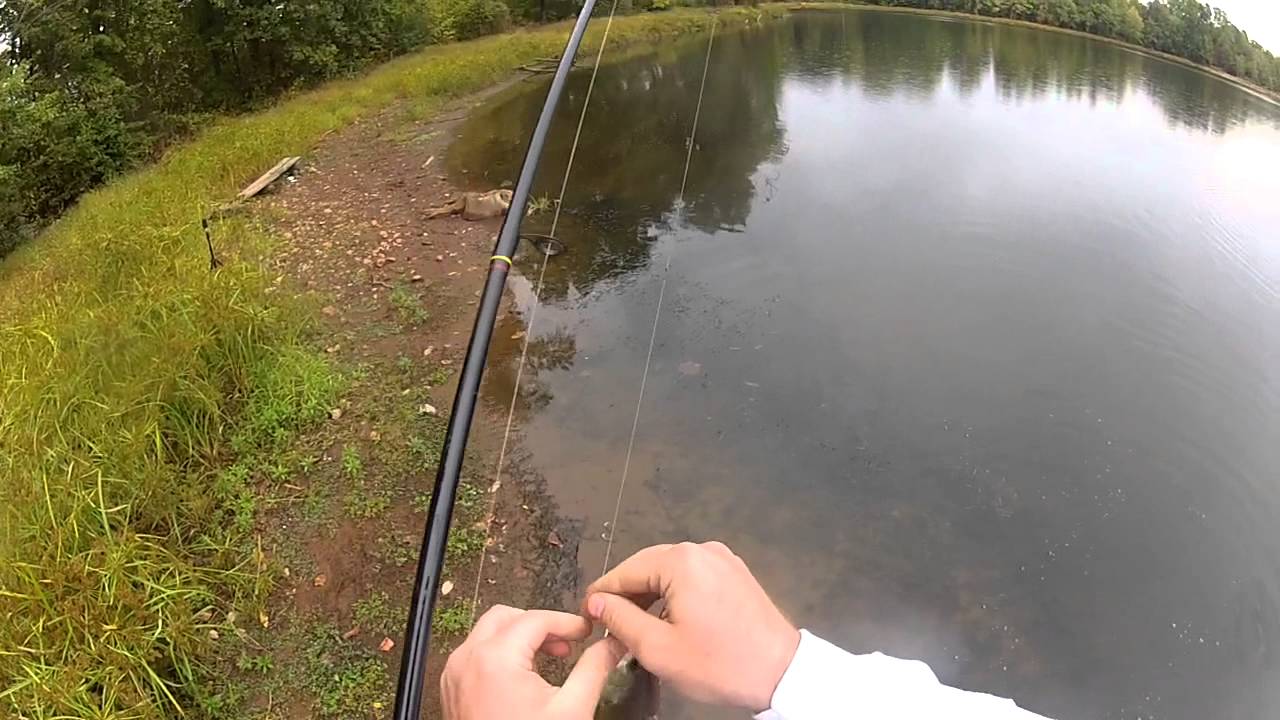 Lake Brittle Fishing for Bass YouTube