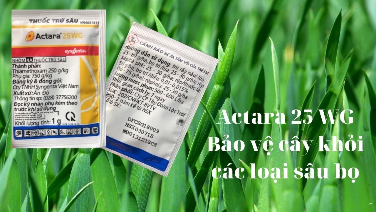 🐛🐌Actara 25 Wg - Tuyệt Chiêu Trị Các Loại Sâu, Bọ Trĩ, Rầy, Ốc Giá Rẻ |  Mai Huy 🐛🐌 - Youtube
